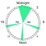 polyphasic everyman-3 sleeping schedule